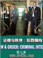 法律与秩序：犯罪倾向第七季