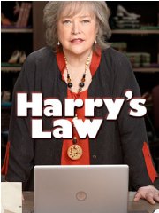 哈莉与法律